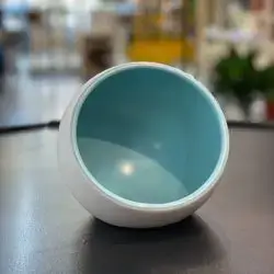 Floor Feeding Anti-Vomit Ceramic Pet Bowl