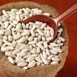 Bean