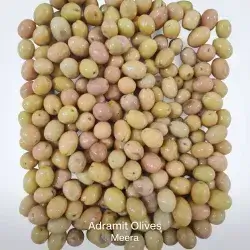 Adramit Olives