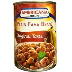 Plain Fava Beans Americana 400g