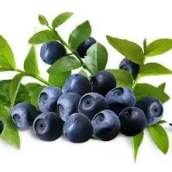 Blueberry