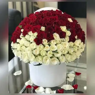 Special Rose and Baby Rose Box