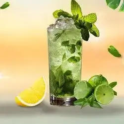 Plain Mint Mojito