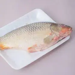 Live Simi Fish