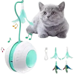 Cat Toy Ball