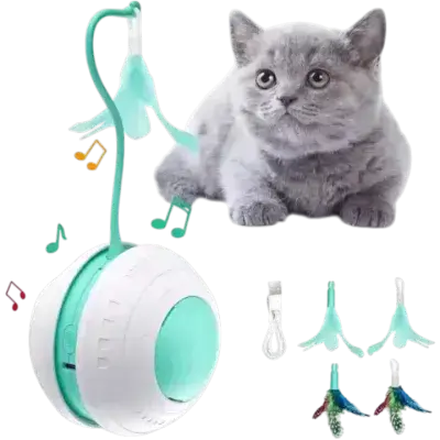Cat Toy Ball