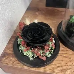 گوڵی فۆڕێڤەر