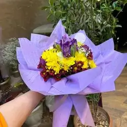 Dawoodi Mix