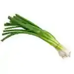 Green Onion