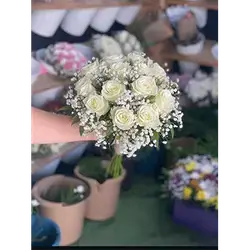 13 Rose