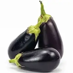 Eggplant