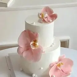 Special Cake