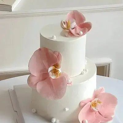 Special Cake