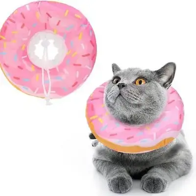 Protective Collar M