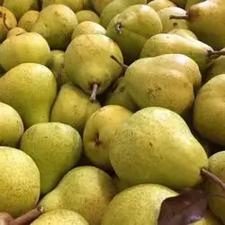 Pear