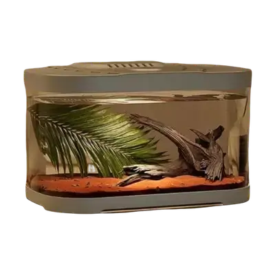 E377 Fish Tank Large