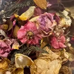 Potpourri