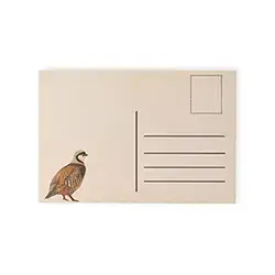 Kew Postcard
