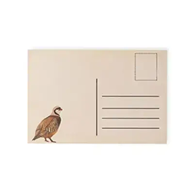 Kew Postcard