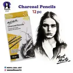 Charcoal pencils-Mont Marte