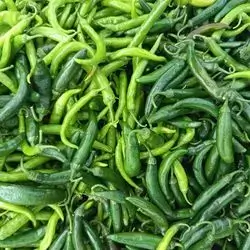 Chilli Pepper