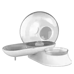 Snail Pet Bowl and Feeder