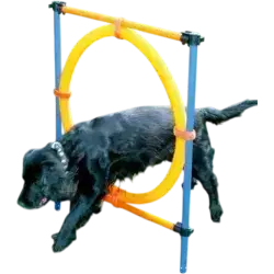 zoofari Dog Jump Hoop