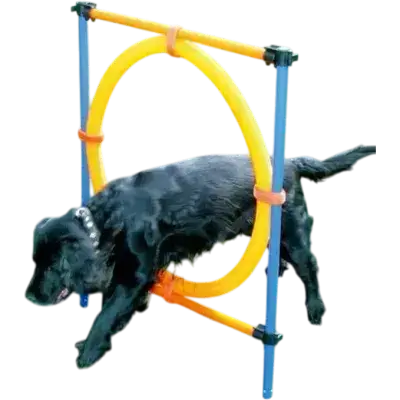 zoofari Dog Jump Hoop