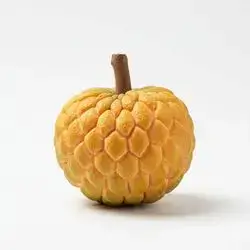 Qishta Fruit
