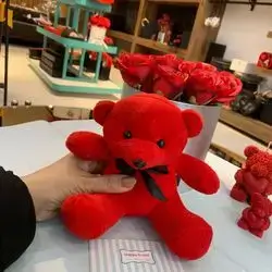 Bear Gift
