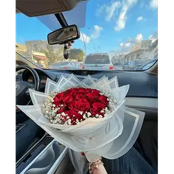 Red Rose