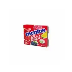Mentos Ch/gum Blast Juice 14gx12