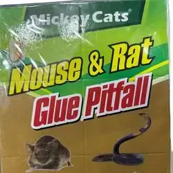 Mouse rat glue pitfall