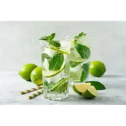 Lemon & Mint Mojito
