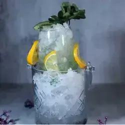 Nobel Mojito