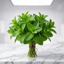 1 Bunch Mint