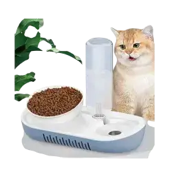 Cat Bowl