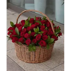 Basket Flower