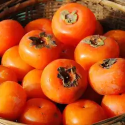 Persimmons