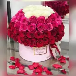 Premium Rose Box – 89 Flowers