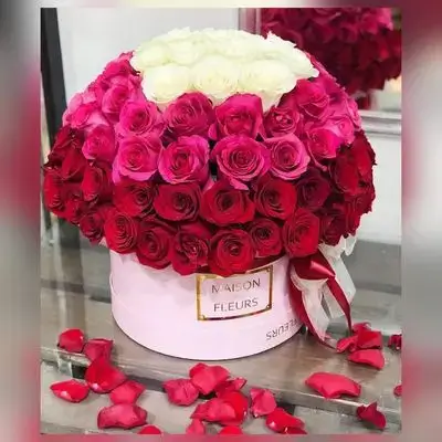 Premium Rose Box – 89 Flowers