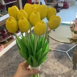 Tulip