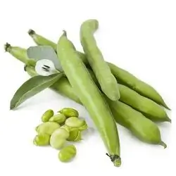 Green beans