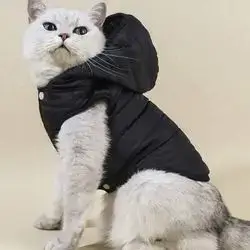 Hoodie S