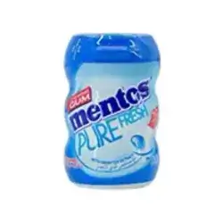 Mentos Pure Fresh Nano Bottle Fresh Mint Chewing Gum 10 Pieces