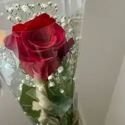 1 Rose