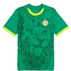 Senegal National Team Away Kit – World Cup 2026 Model (T-Shirt) - 2XL
