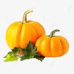Mountain Pumpkin