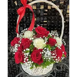 Basket Flower