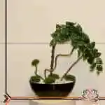 Table Flower